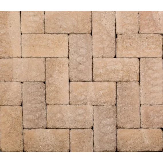 LEIER PATIO ANTIK AGYAGBARNA 25X12,4X5CM 12,4M2/RL